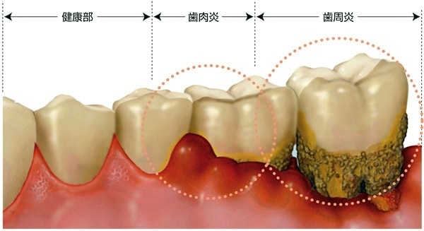 shi_(3).jpg